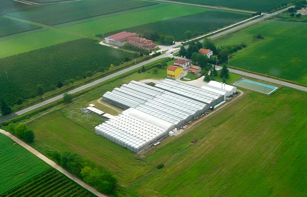 BIOCANNA 1000cc Fertilizzante Per La Fioritura - Flower 1 Litro Per Piante E Giardinaggio